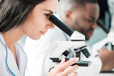 Leonisa Apoya Investigación De La Udea Relacionada Con El Covid-19